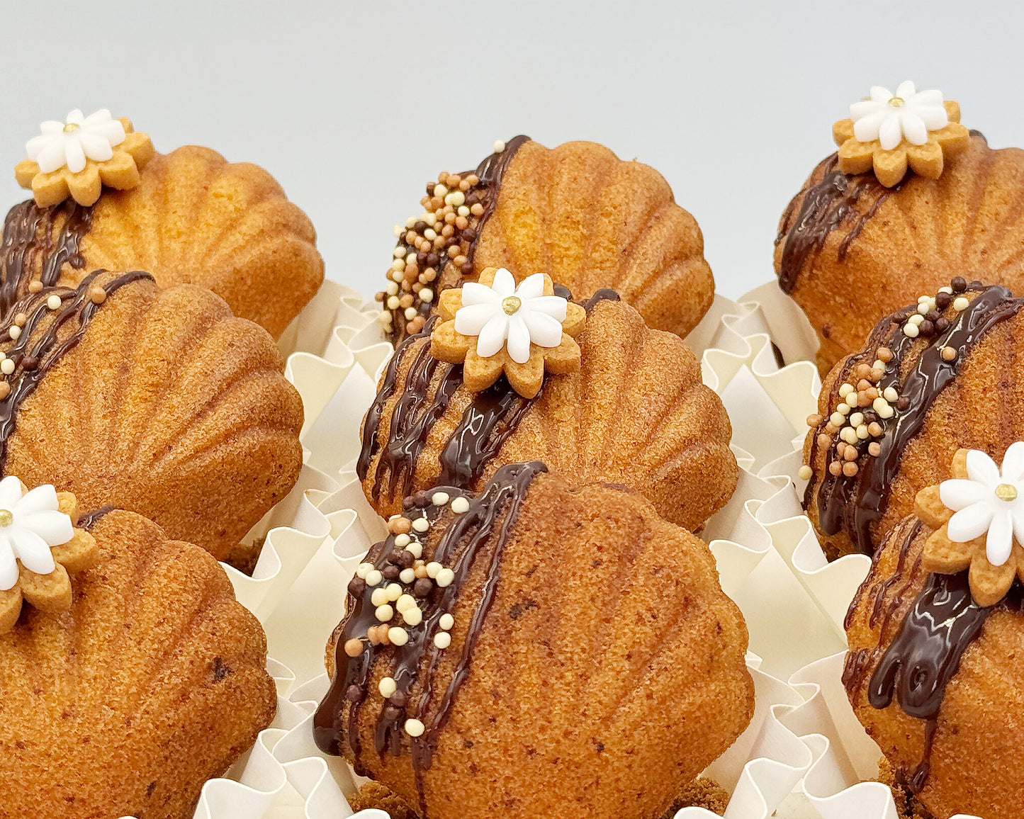 Decorative seashell madeleines with chocolate drizzle and white flower cookie on a light background