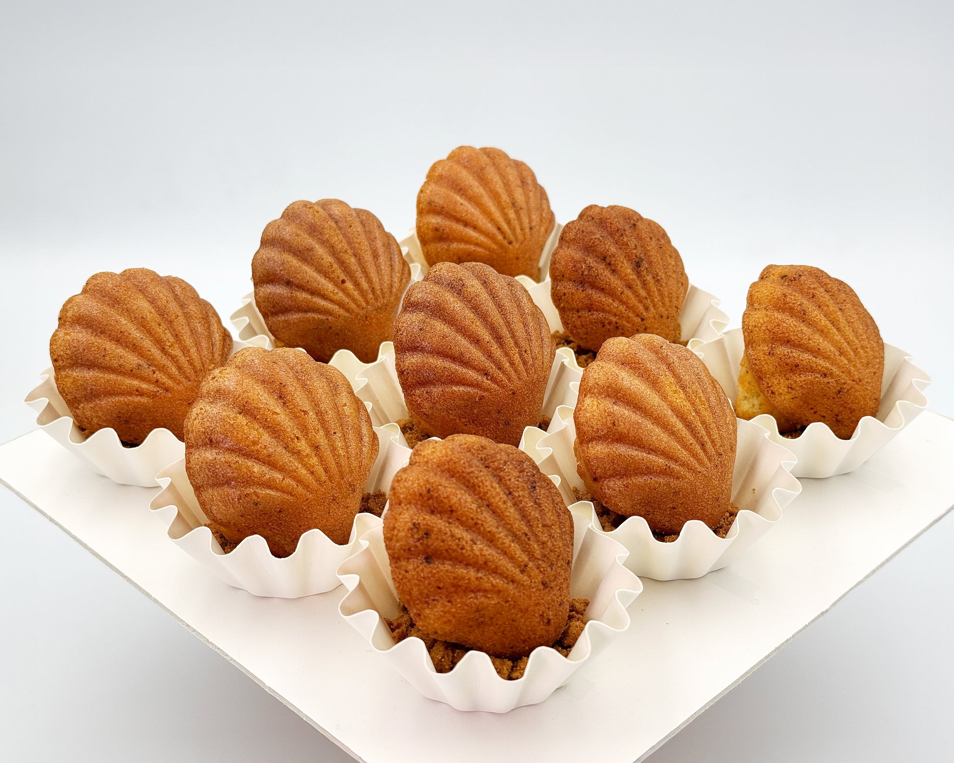 Shell-shaped madeleines on a white tray with a white background
