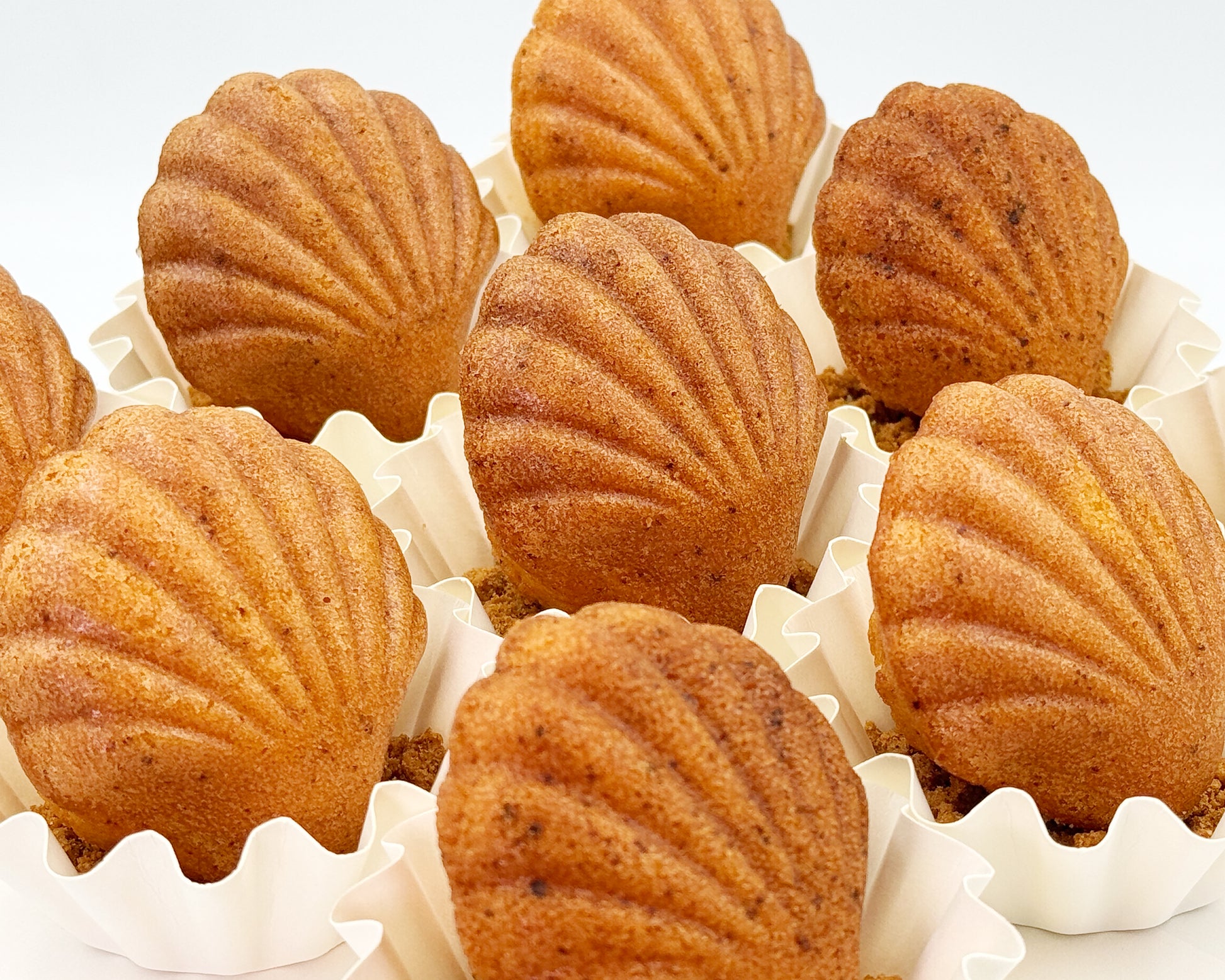 close-up shot of seashell madeleines, in white paper cups on a white background
